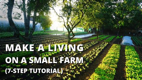 How To Start A Crop Farming Business